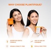 image:imagePLANTIFIQUE Kojic Acid amp Turmeric Cleansing Pads for Dark Spots Lab Tested60 Count Pack of 2