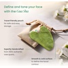 image:imagePLANTIFIQUE Massage Ritual Set Premium Certified Jade Gua Sha  Jojoba Oil amp HA Serum Skin Care Set and Hand Mask for Dry Hands  8 Pairs Moisturizing Gloves